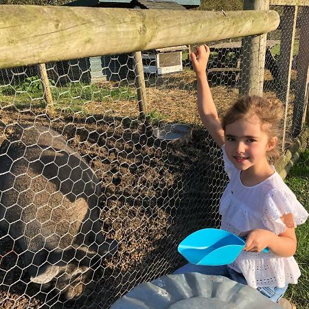 Willow Court Farm Studio South & Petting Farm, 8 Mins From Legoland & Windsor, 15 Mins From Lapland Uk Exterior foto