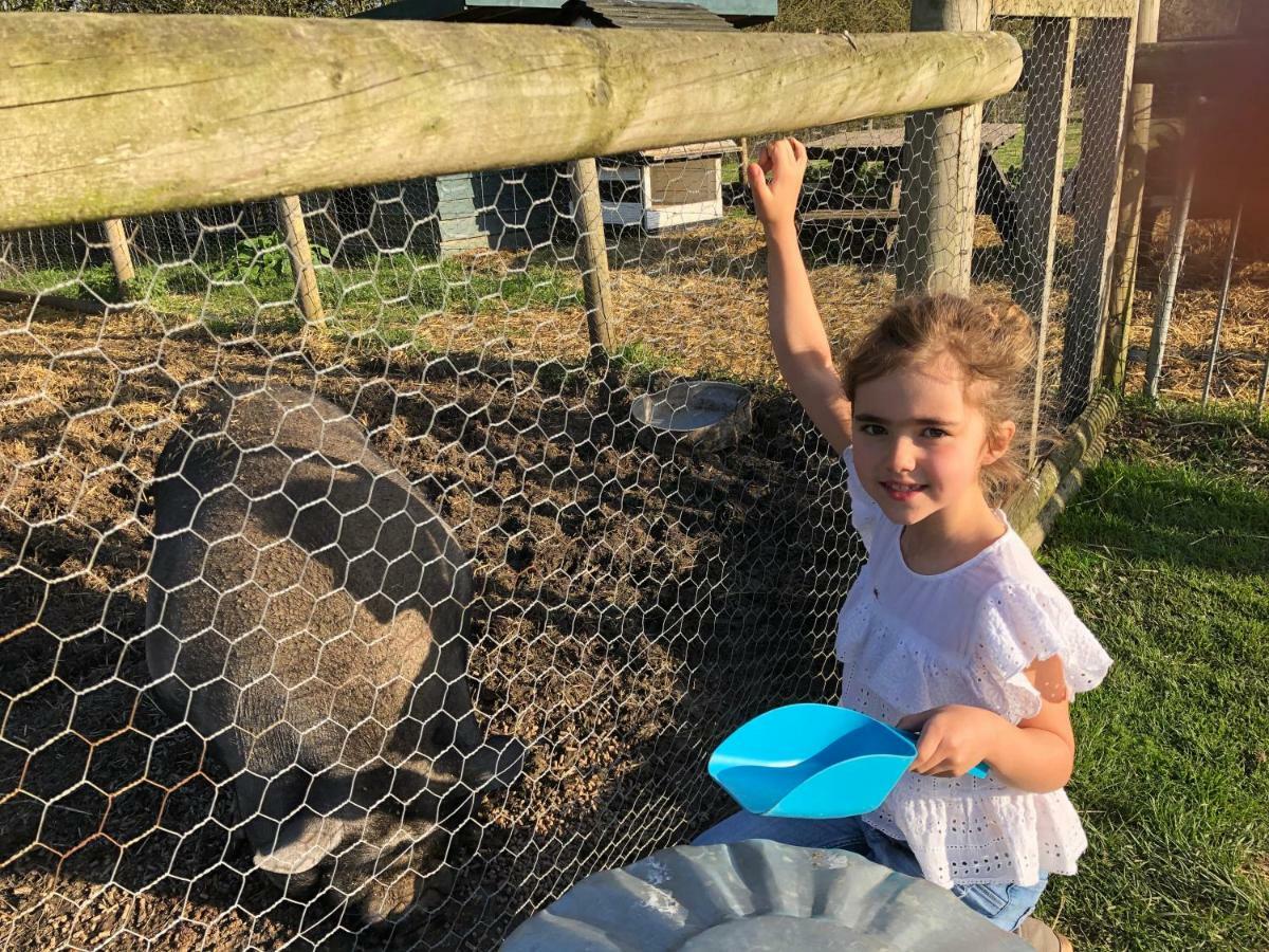 Willow Court Farm Studio South & Petting Farm, 8 Mins From Legoland & Windsor, 15 Mins From Lapland Uk Exterior foto